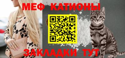 шишки Камышлов