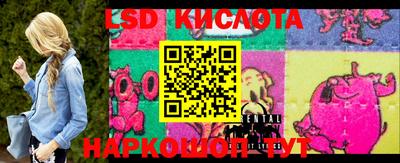 тгк Канаш